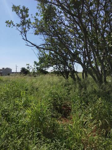 桃園新屋農地-1