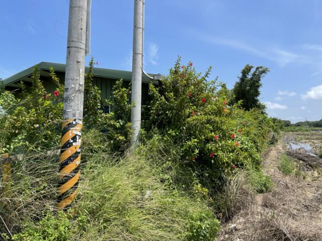 新豐農地-1